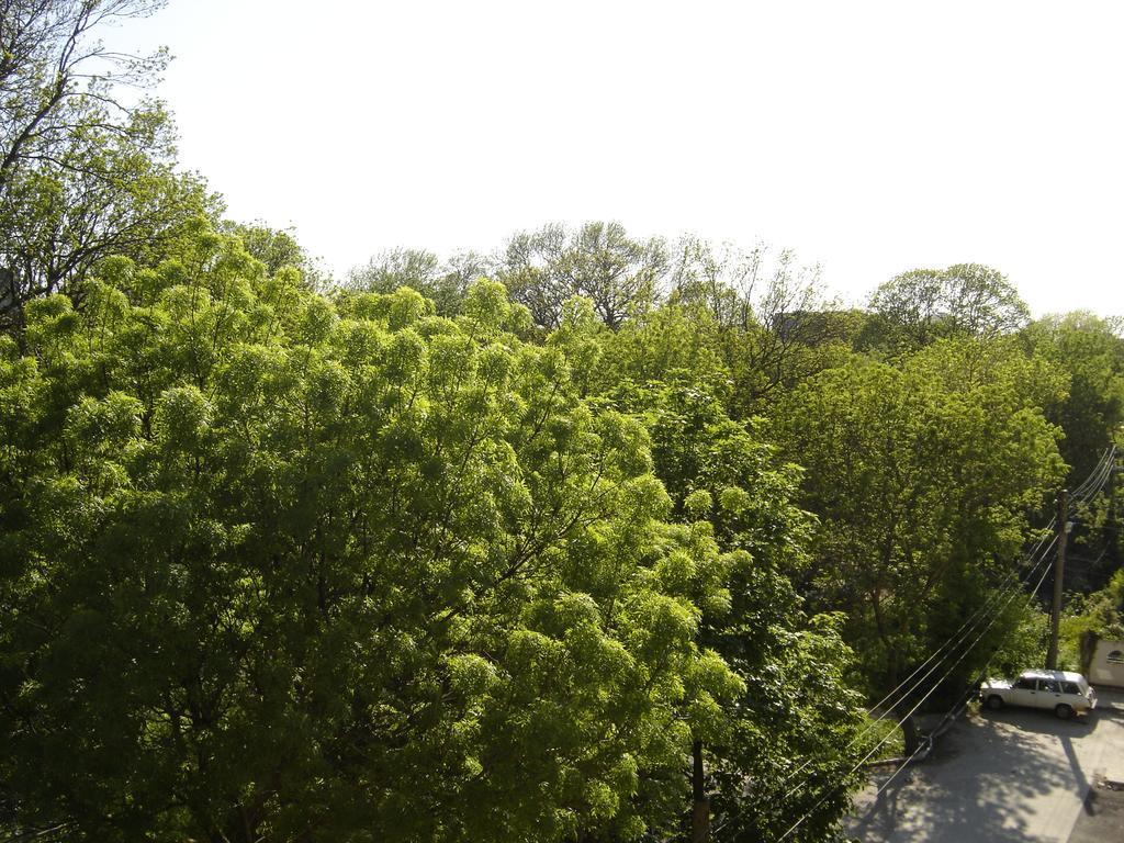 Central Park Family Hotel Kavarna Exterior photo