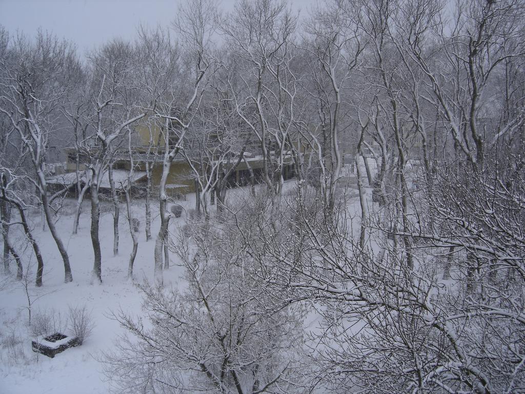 Central Park Family Hotel Kavarna Exterior photo